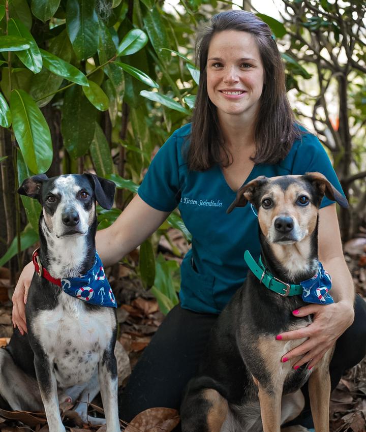 Experienced Veterinarians Animal Hospital in Beaufort